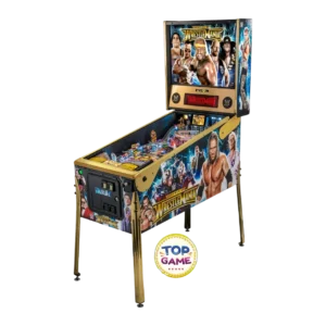 Pinball WWE LE